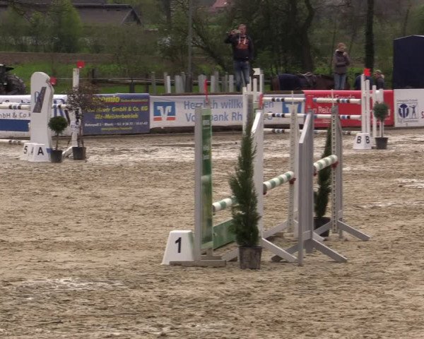 Reitturnier Rhede 2023