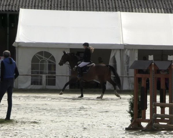 Reitturnier Bottrop 2023