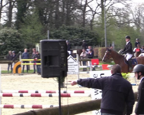 Reitturnier Rhede 2023