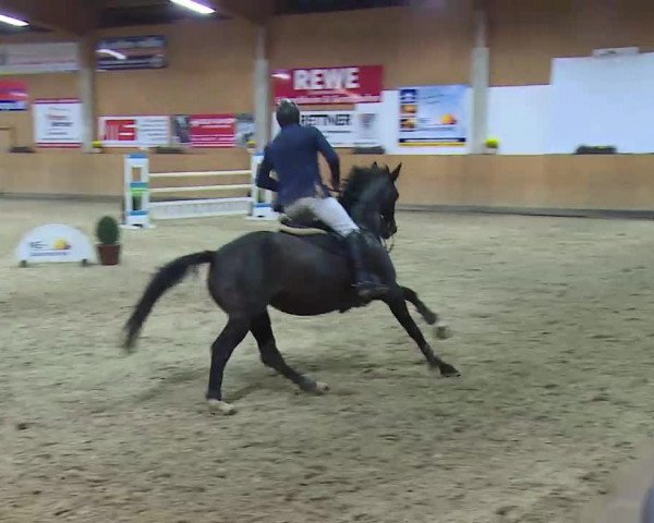 Reitturnier Grafenrheinfeld/Ufr. 2021
