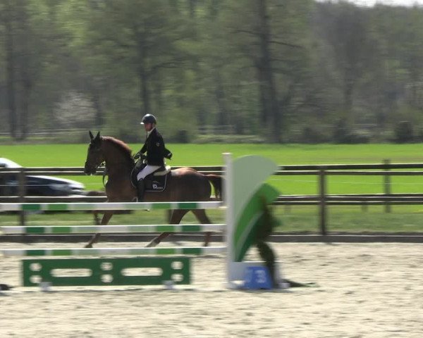 Reitturnier Diepholz 2023