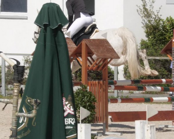 Reitturnier Ingolstadt-Hagau/Obb. 2023