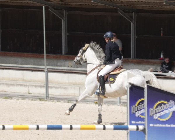 Reitturnier Ingolstadt-Hagau/Obb. 2023