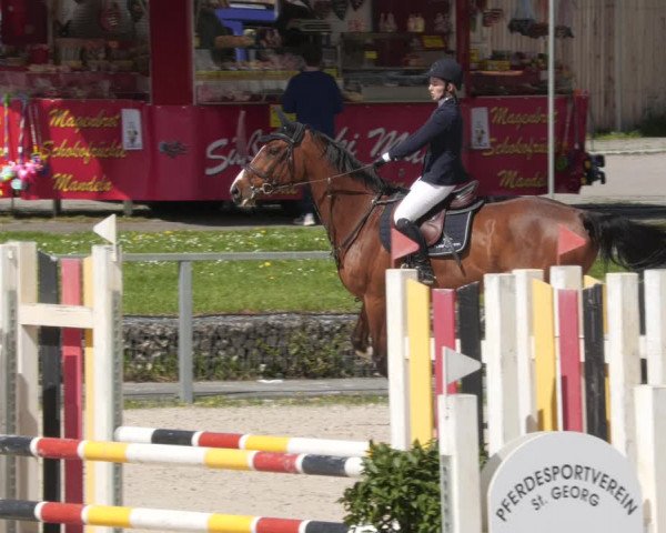Reitturnier Ingolstadt-Hagau/Obb. 2023