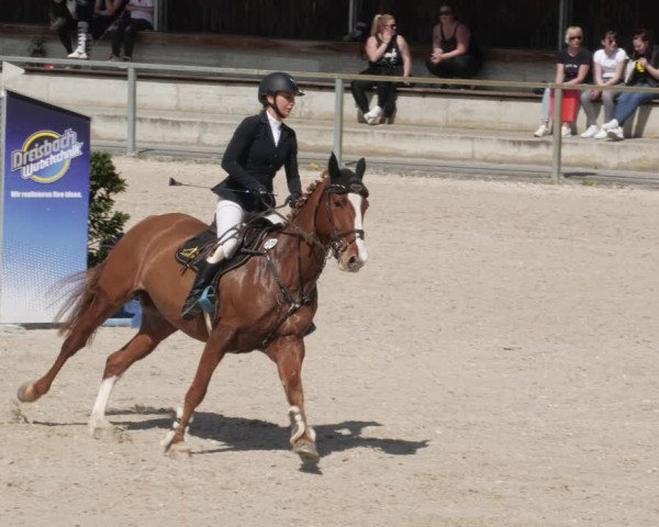 Reitturnier Ingolstadt-Hagau/Obb. 2023