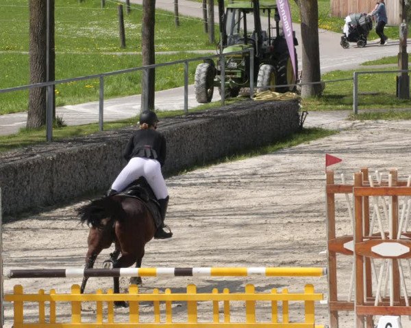 Reitturnier Ingolstadt-Hagau/Obb. 2023