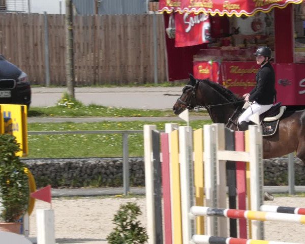 Reitturnier Ingolstadt-Hagau/Obb. 2023