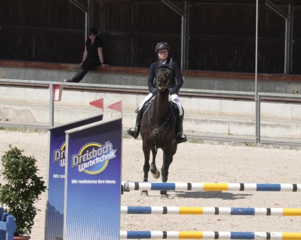 Reitturnier Ingolstadt-Hagau/Obb. 2023