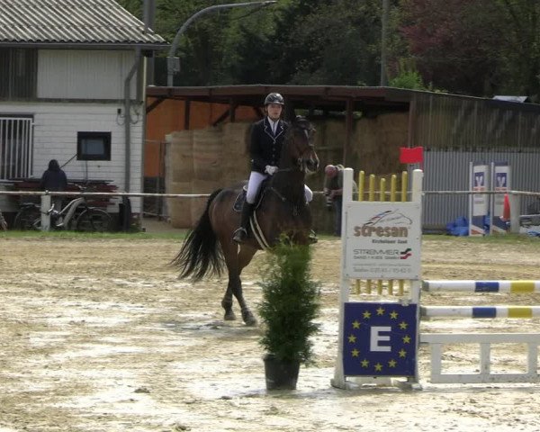 Reitturnier Bottrop 2023
