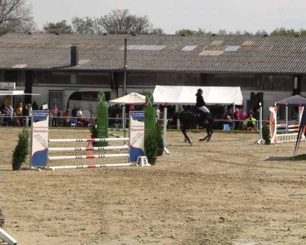 Reitturnier Bottrop 2023