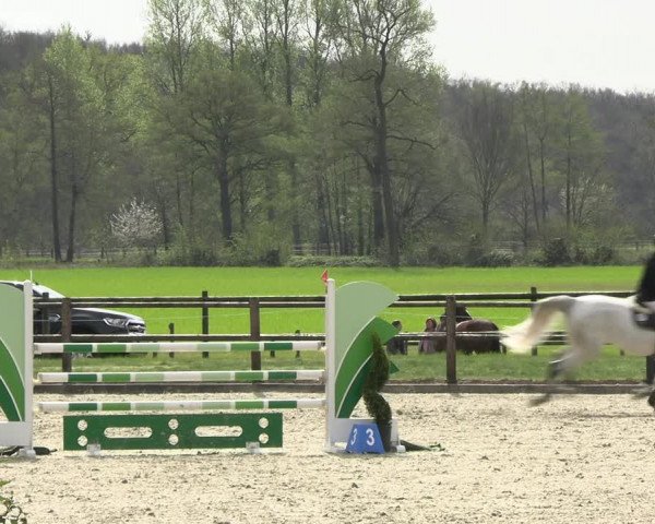 Reitturnier Diepholz 2023