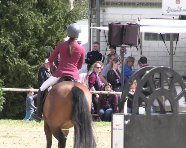 Reitturnier Bottrop 2023