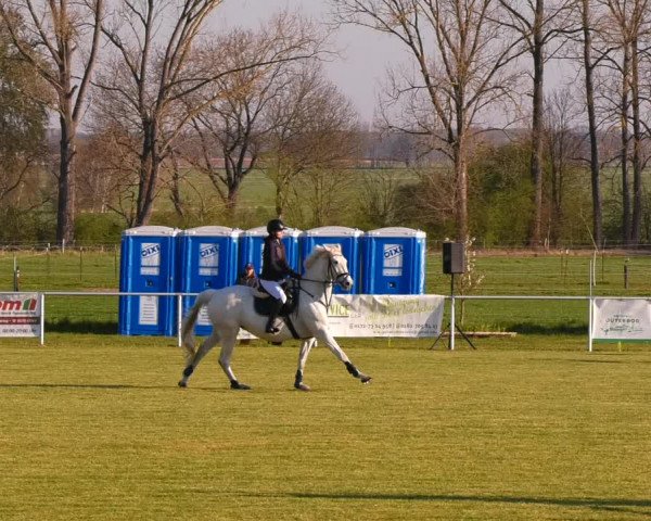 Reitturnier Jüterbog / Werder 2023