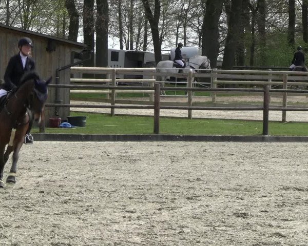 Reitturnier Diepholz 2023