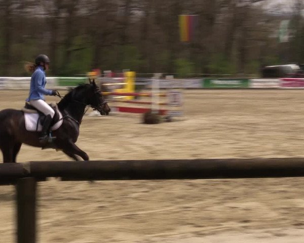 Reitturnier Rhede 2023