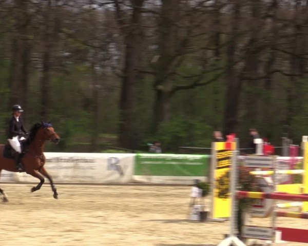Reitturnier Rhede 2023