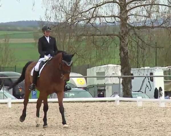 Reitturnier Landenhausen 2023