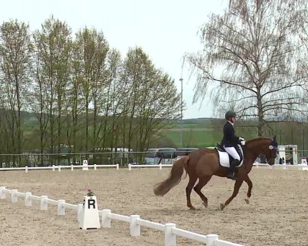 Reitturnier Landenhausen 2023