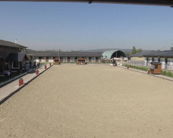 Reitturnier Gerasdorf bei Wien 2023