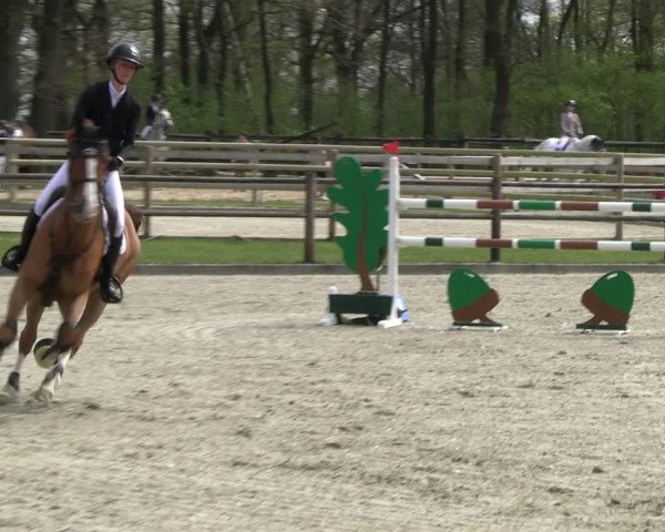 Reitturnier Diepholz 2023