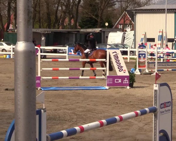 Reitturnier Mildstedt 2023