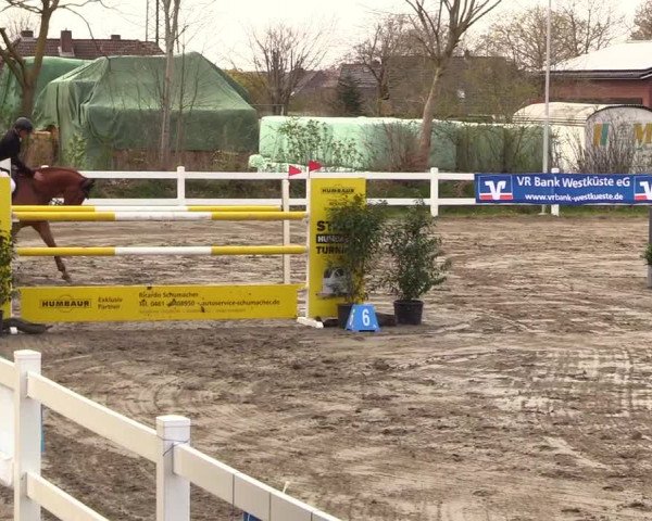 Reitturnier Mildstedt 2023