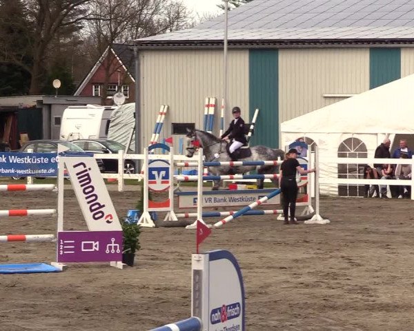 Reitturnier Mildstedt 2023