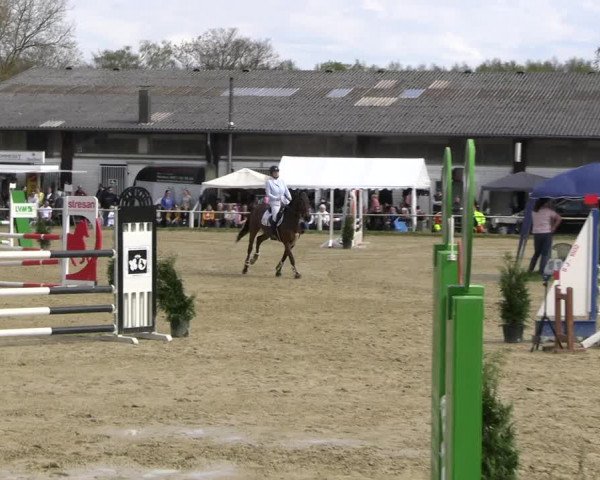 Reitturnier Bottrop 2023