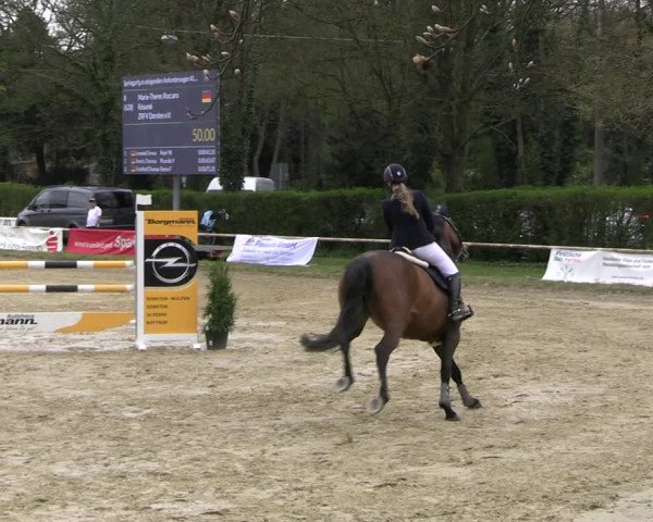 Reitturnier Bottrop 2023