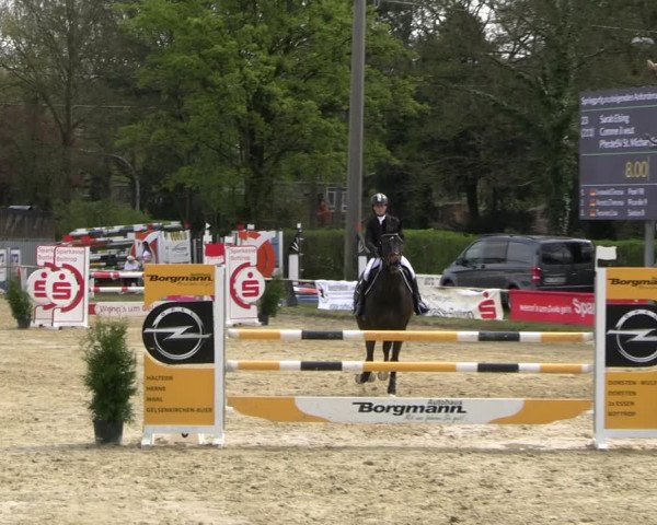 Reitturnier Bottrop 2023