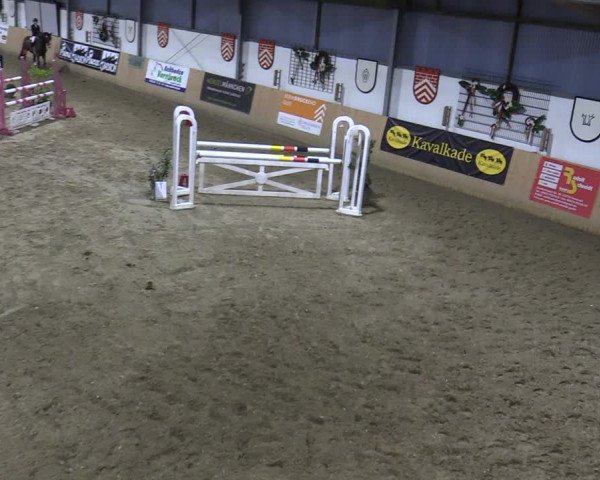 Reitturnier Borgholzhausen-Westbarthausen 2021