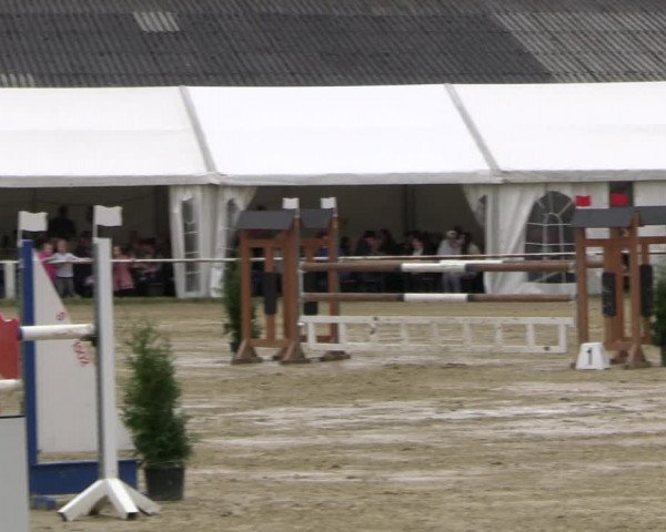 Reitturnier Bottrop 2023