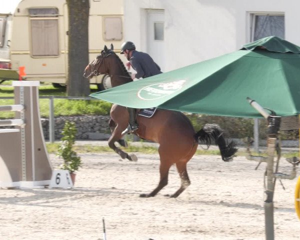 Reitturnier Ingolstadt-Hagau/Obb. 2023