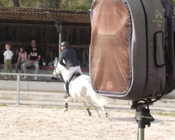 Reitturnier Ingolstadt-Hagau/Obb. 2023