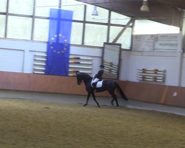 Reitturnier Bottrop 2023