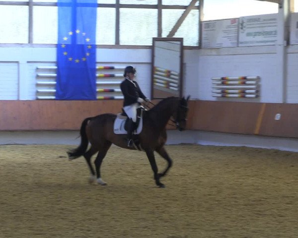 Reitturnier Bottrop 2023