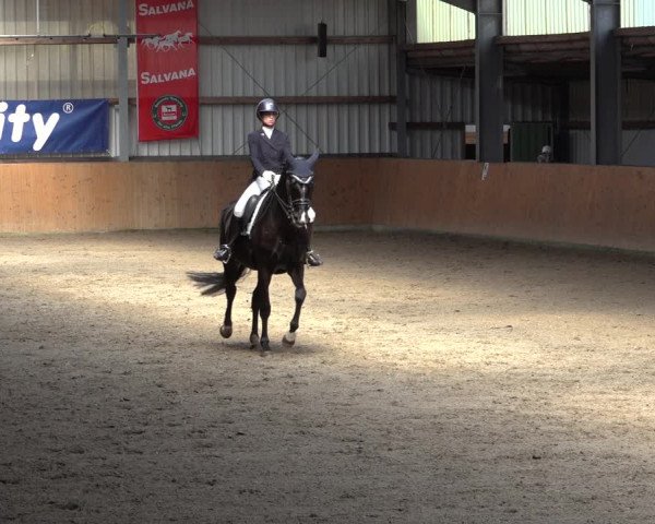 Reitturnier Schlieckau 2023