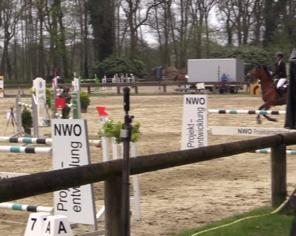 Reitturnier Rhede 2023