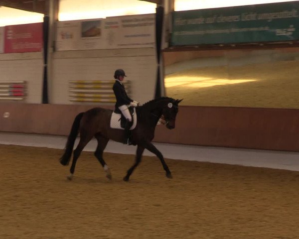 Reitturnier Bottrop 2023