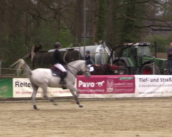 Reitturnier Rhede 2023