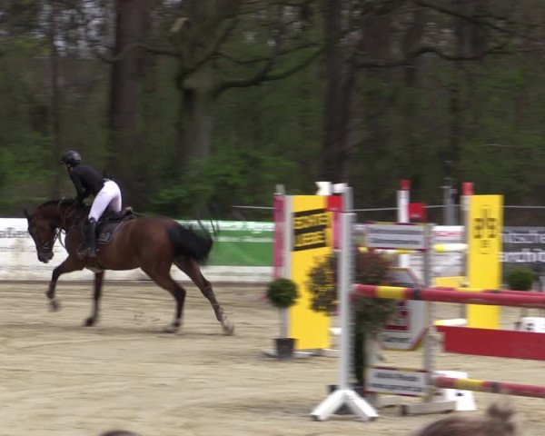 Reitturnier Rhede 2023