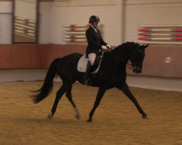 Reitturnier Bottrop 2023