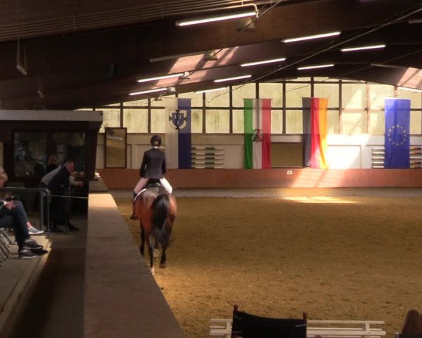 Reitturnier Bottrop 2023