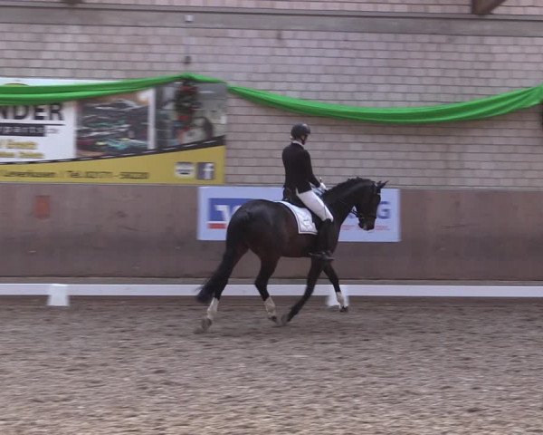 Reitturnier Leverkusen-Rheindorf 2023