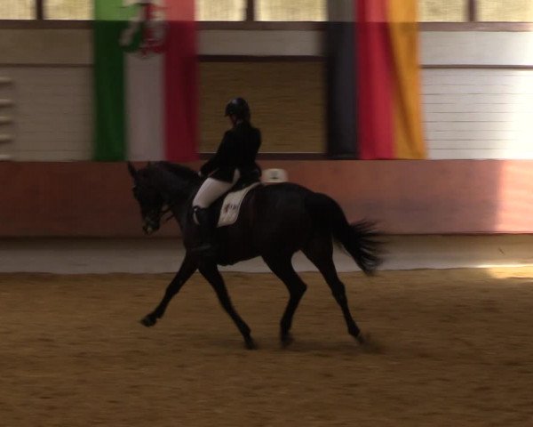 Reitturnier Bottrop 2023