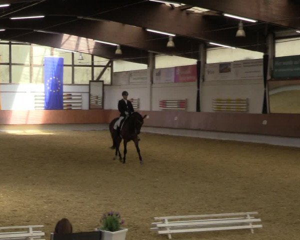 Reitturnier Bottrop 2023
