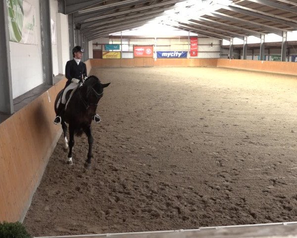 Reitturnier Schlieckau 2023
