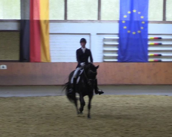 Reitturnier Bottrop 2023