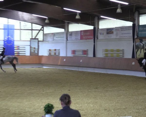 Reitturnier Bottrop 2023