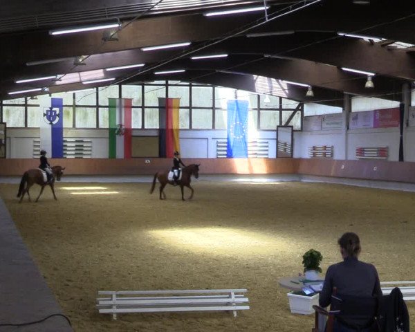 Reitturnier Bottrop 2023